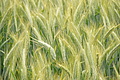 DSC00928 - Bernhard Saalfeld