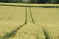 DSC00932 - Bernhard Saalfeld