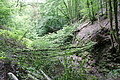 DSC00950 - Bernhard Saalfeld