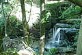 DSC00961 - Bernhard Saalfeld