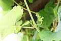 DSC01015 - Bernhard Saalfeld