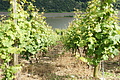 DSC01016 - Bernhard Saalfeld