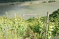 DSC01017 - Bernhard Saalfeld