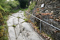 DSC01039 - Bernhard Saalfeld