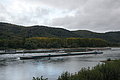 DSC09805 - Bernhard Saalfeld