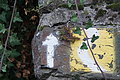 DSC09809 - Bernhard Saalfeld