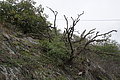 DSC09814 - Bernhard Saalfeld