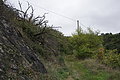 DSC09817 - Bernhard Saalfeld