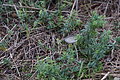 DSC09821 - Bernhard Saalfeld