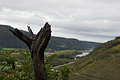 DSC09830 - Bernhard Saalfeld