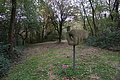 DSC09832 - Bernhard Saalfeld