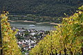 DSC09838 - Bernhard Saalfeld