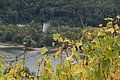DSC09847 - Bernhard Saalfeld