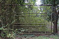 DSC09855 - Bernhard Saalfeld