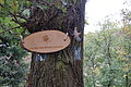 DSC09857 - Bernhard Saalfeld