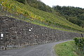 DSC09858 - Bernhard Saalfeld