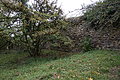 DSC09873 - Bernhard Saalfeld