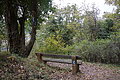 DSC09892 - Bernhard Saalfeld