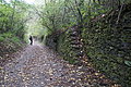 DSC09893 - Bernhard Saalfeld