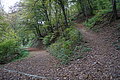 DSC09907 - Bernhard Saalfeld