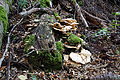 DSC09908 - Bernhard Saalfeld