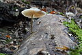 DSC09911 - Bernhard Saalfeld