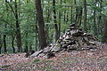 DSC09915 - Bernhard Saalfeld