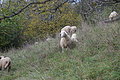 DSC09941 - Bernhard Saalfeld