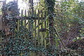 DSC09944 - Bernhard Saalfeld