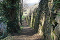 DSC00279 - Bernhard Saalfeld