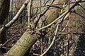 DSC00281 - Bernhard Saalfeld