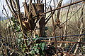 DSC00282 - Bernhard Saalfeld