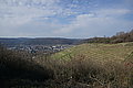 DSC00284 - Bernhard Saalfeld