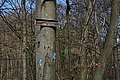 DSC00295 - Bernhard Saalfeld