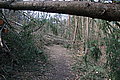 DSC00296 - Bernhard Saalfeld