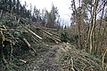 DSC00297 - Bernhard Saalfeld
