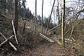 DSC00298 - Bernhard Saalfeld