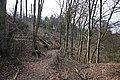 DSC00299 - Bernhard Saalfeld