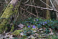 DSC00301 - Bernhard Saalfeld