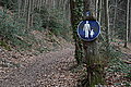 DSC00305 - Bernhard Saalfeld