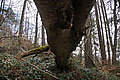 DSC00306 - Bernhard Saalfeld