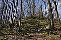DSC00308 - Bernhard Saalfeld