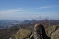 DSC00318 - Bernhard Saalfeld