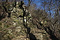 DSC00322 - Bernhard Saalfeld