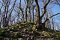 DSC00324 - Bernhard Saalfeld