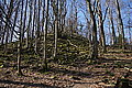 DSC00325 - Bernhard Saalfeld