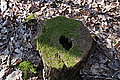 DSC00326 - Bernhard Saalfeld
