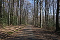 DSC00327 - Bernhard Saalfeld