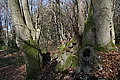 DSC00328 - Bernhard Saalfeld
