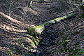 DSC00329 - Bernhard Saalfeld